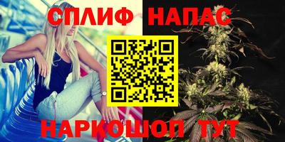 индика Туймазы