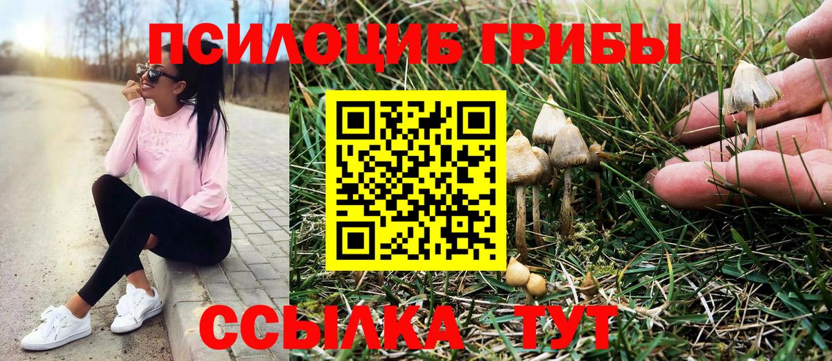 Галлюциногенные грибы прущие грибы Октябрьский