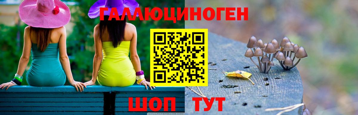 Галлюциногенные грибы прущие грибы  Вход с VPN  Октябрьский  Псилоцибиновые грибы GOLDEN TEACHER 